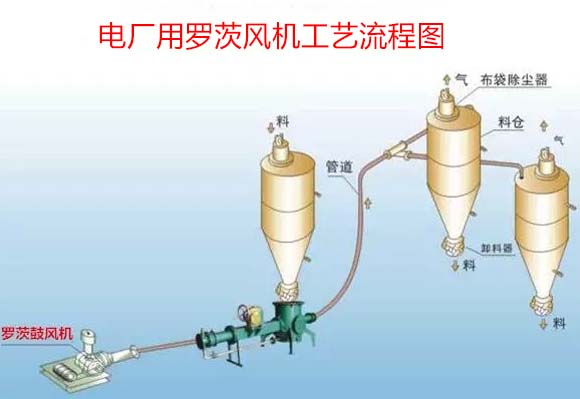 電廠用羅茨鼓香蕉在线视频视频案例
